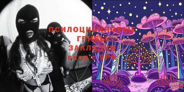 мяу мяу мука Приозерск