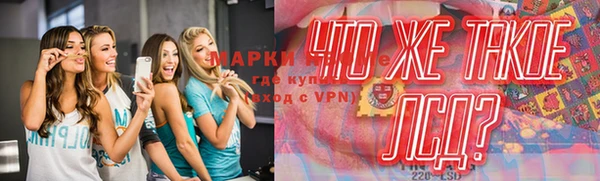ALPHA PVP Елизово