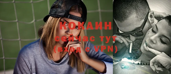 ALPHA PVP Елизово